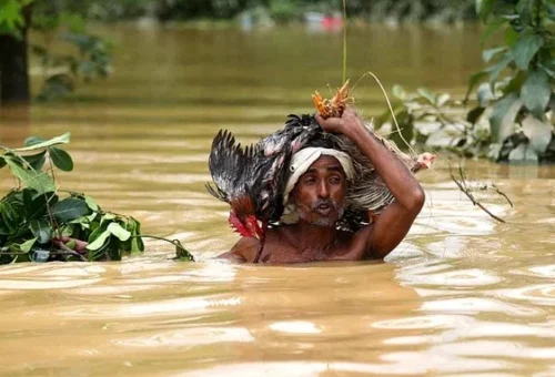 বন্যার অনেক সমাধান আমাদের হাতেই