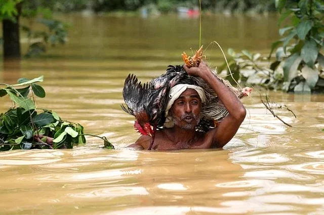 বন্যার অনেক সমাধান আমাদের হাতেই